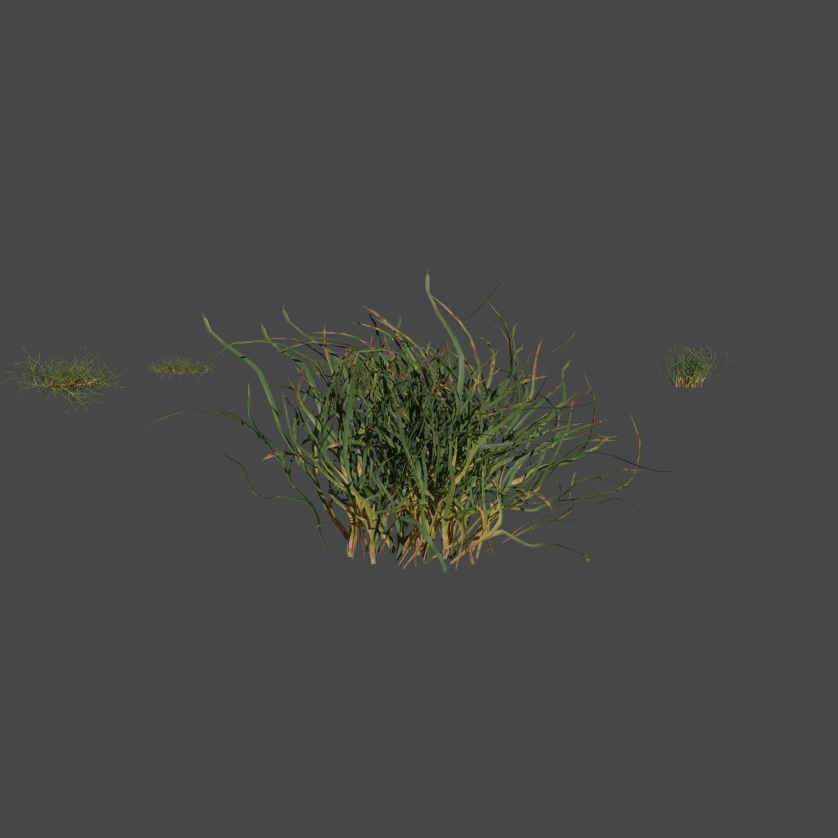 Set of 16 Hand Made Grass Packs Low-poly 3D model_3