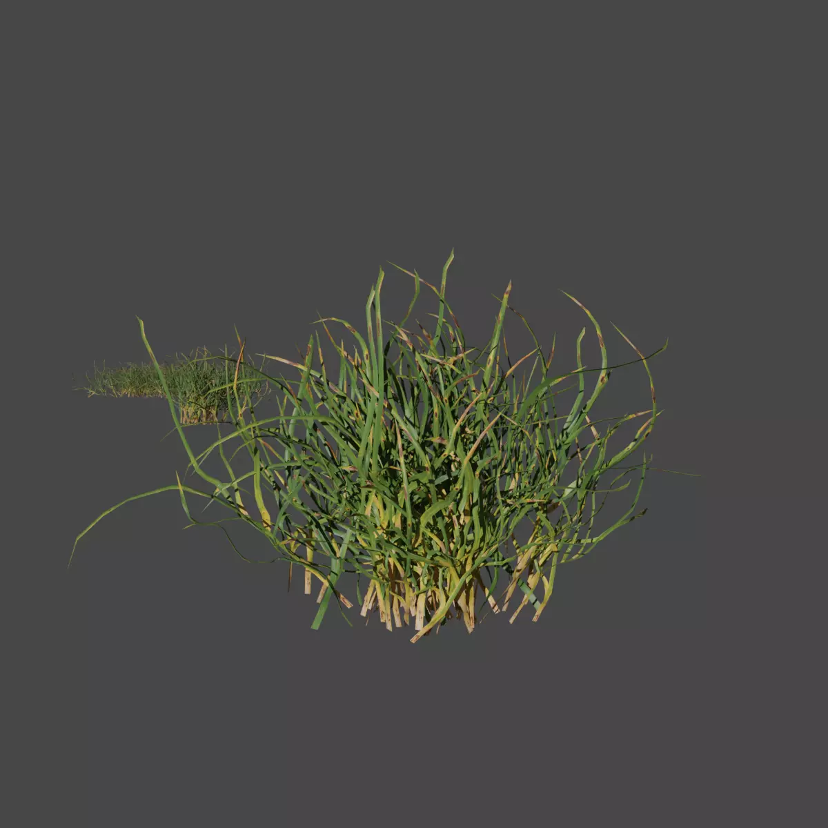 Set of 16 Hand Made Grass Packs Low-poly 3D model_0