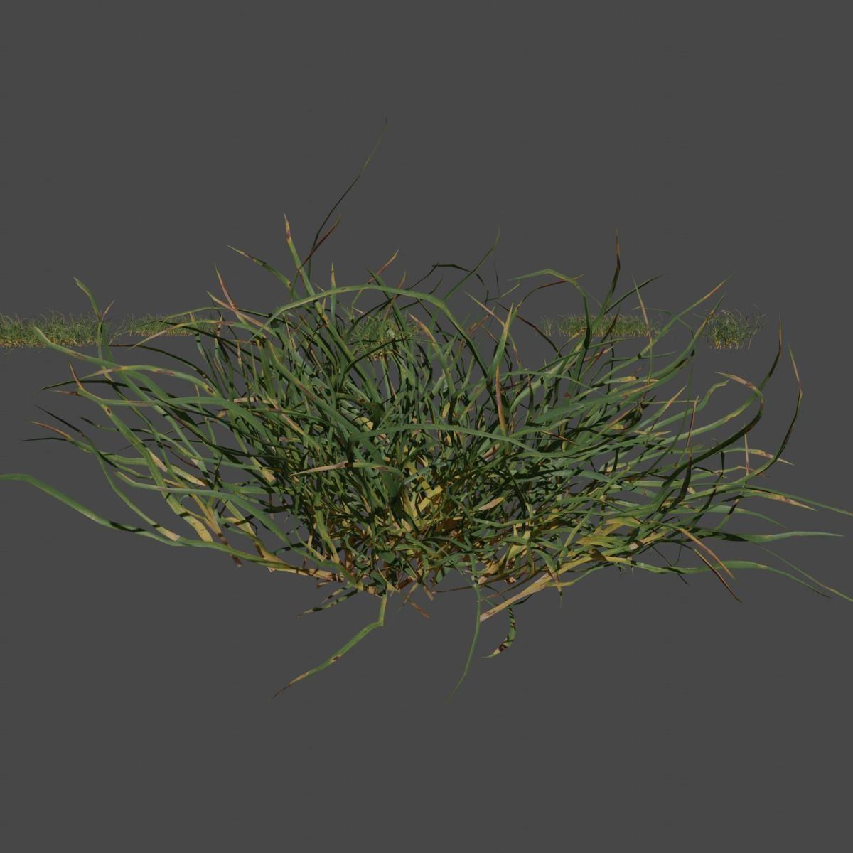Set of 16 Hand Made Grass Packs Low-poly 3D model_2