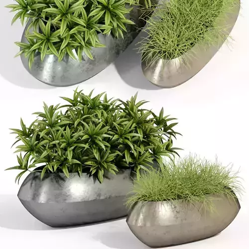 Plants collection 279 Fleurami ROYAL 