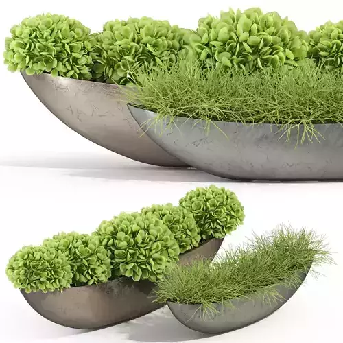 Plants collection 280 Fleurami ROYAL 