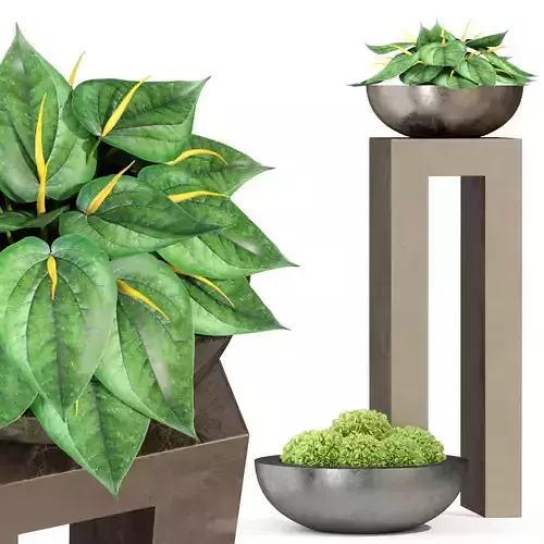 Plants collection 281 Fleurami ROYAL 