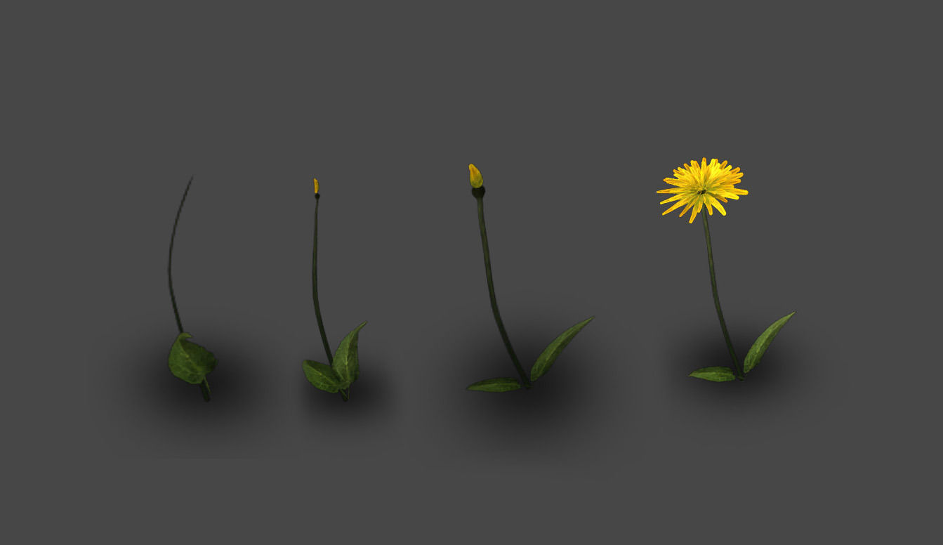 Animated Plant Set for Unity Low-poly 3D model_2