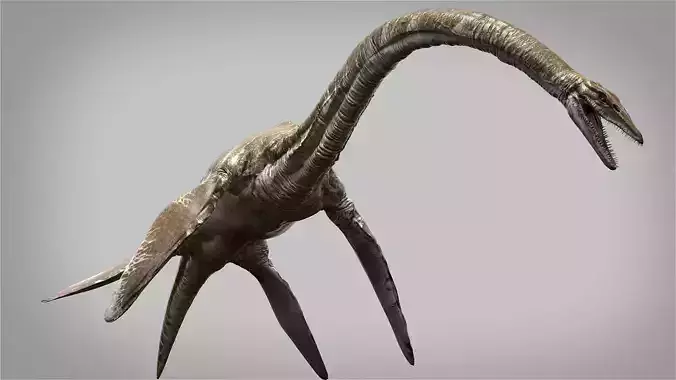 Elasmosaurus Rigged Low-poly 3D model