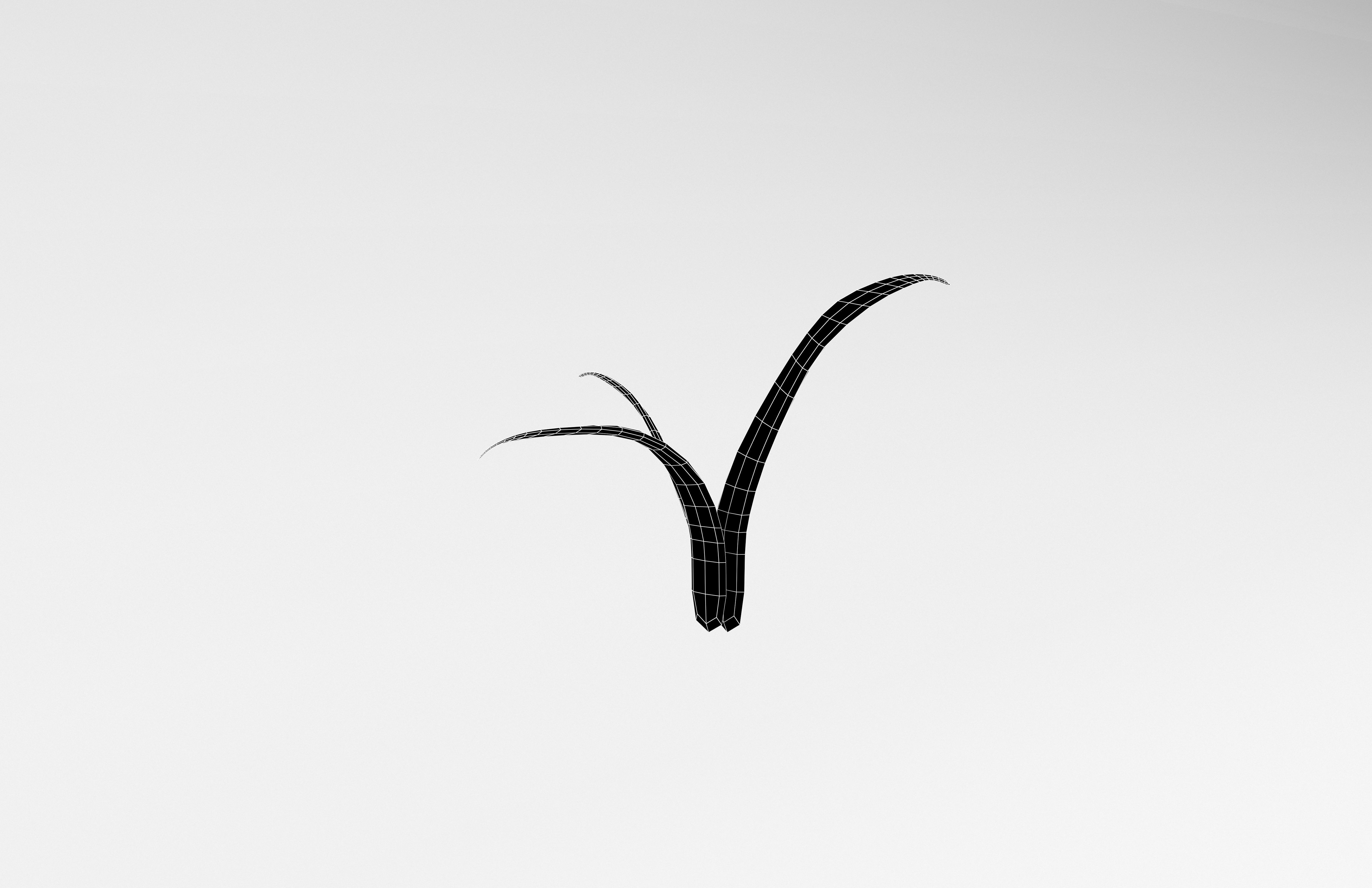 Plant v1 002 Low-poly 3D model_7