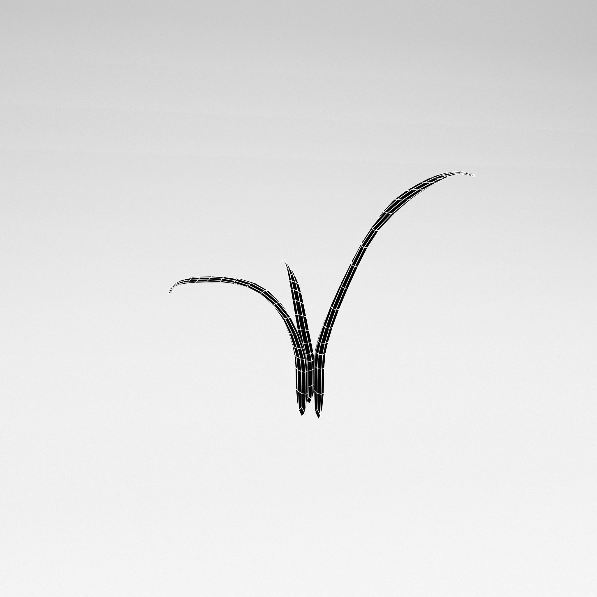 Plant v1 002 Low-poly 3D model_4