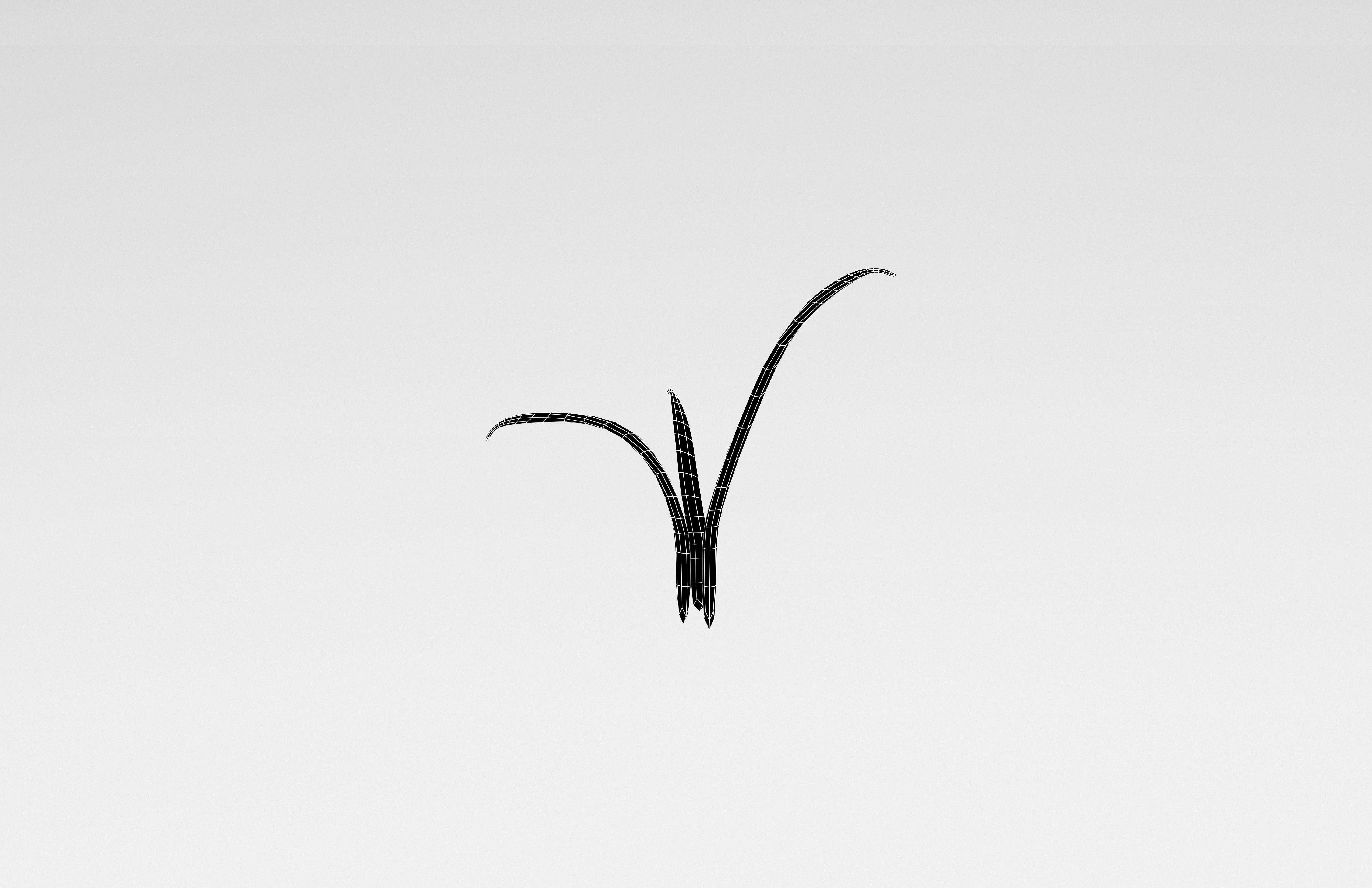 Plant v1 002 Low-poly 3D model_5