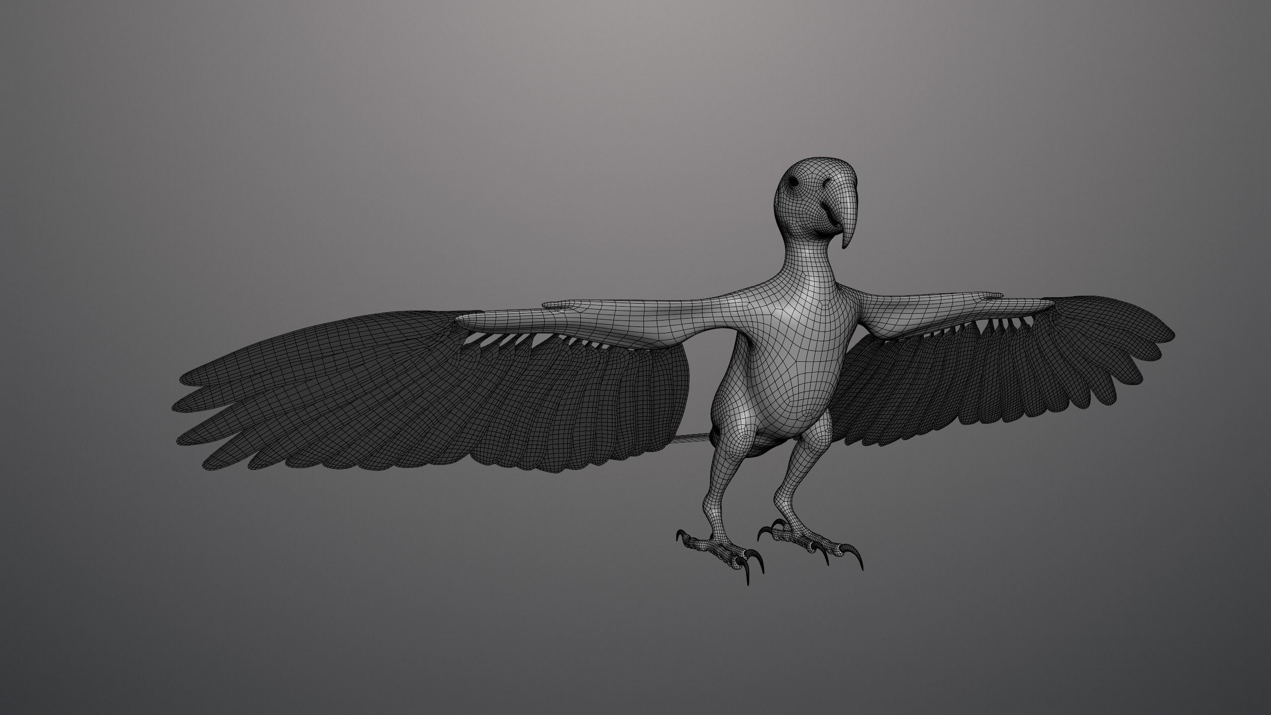 Base model of Macaw  3D model_6