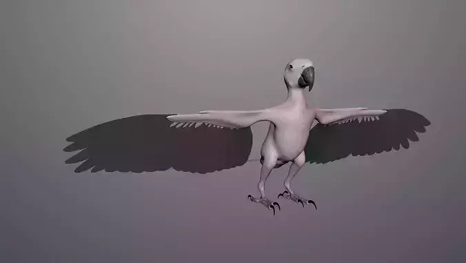 Base model of Macaw 