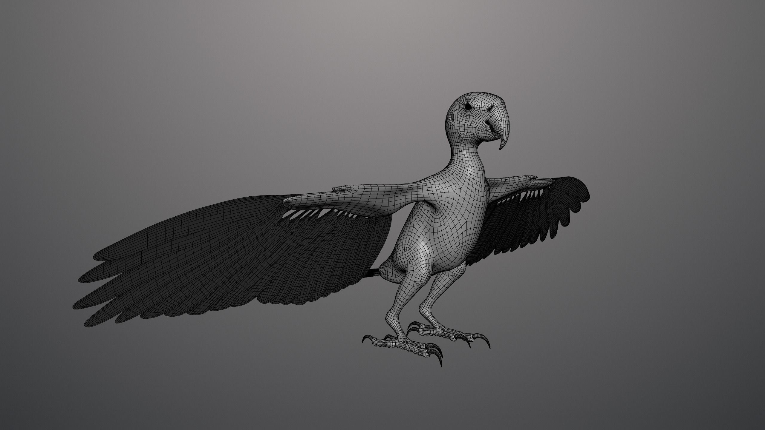 Base model of Macaw  3D model_10