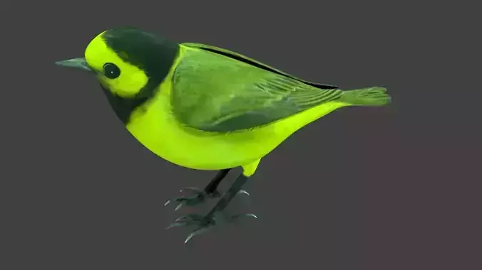 lowpoly bird