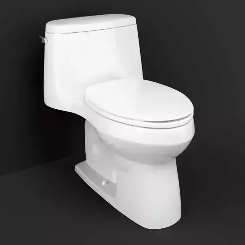 Toilet  Santa Rosa KOHLER