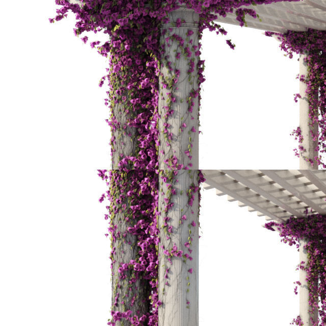 pergola ivy 3D model_4