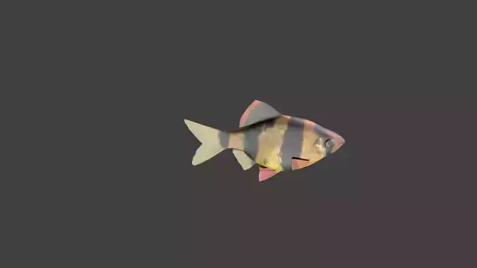 lowpoly tiger fish