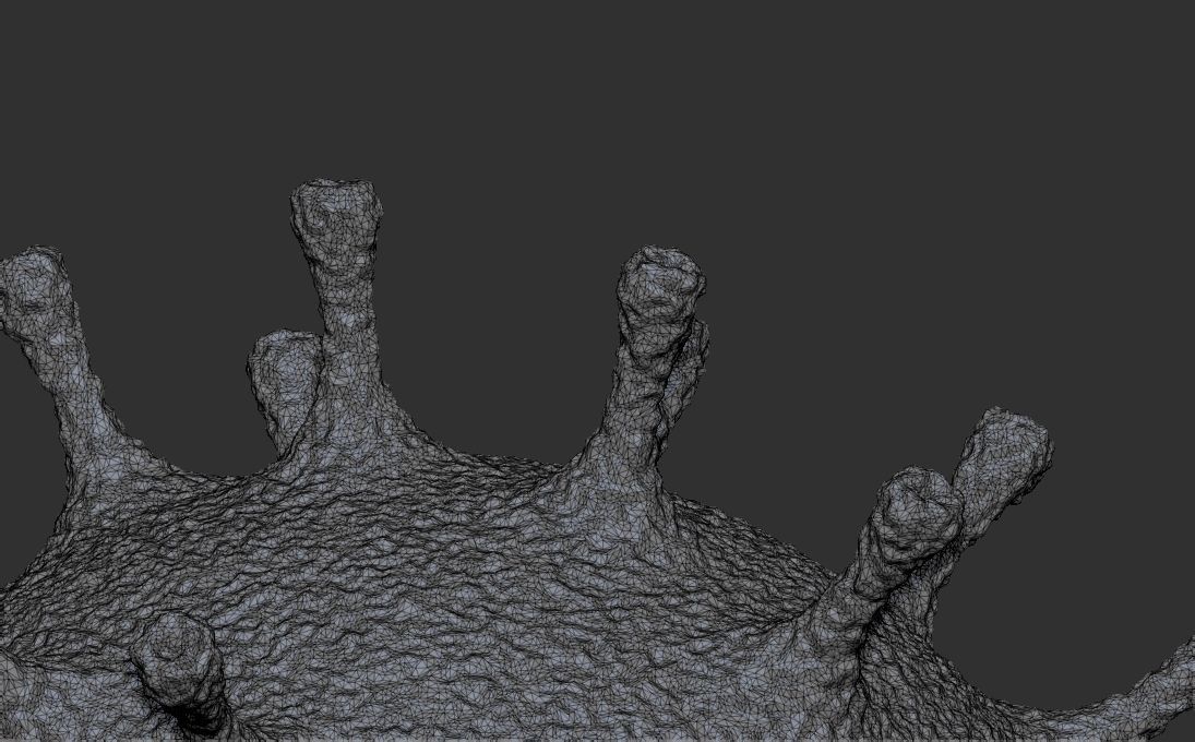 Coronavirus COVID-19 3D printing ready stl obj formats 3D print model_16