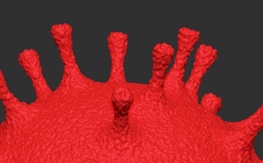 Coronavirus COVID-19 3D printing ready stl obj formats 3D print model_12