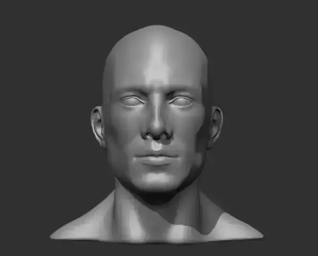 Realistic Male Head