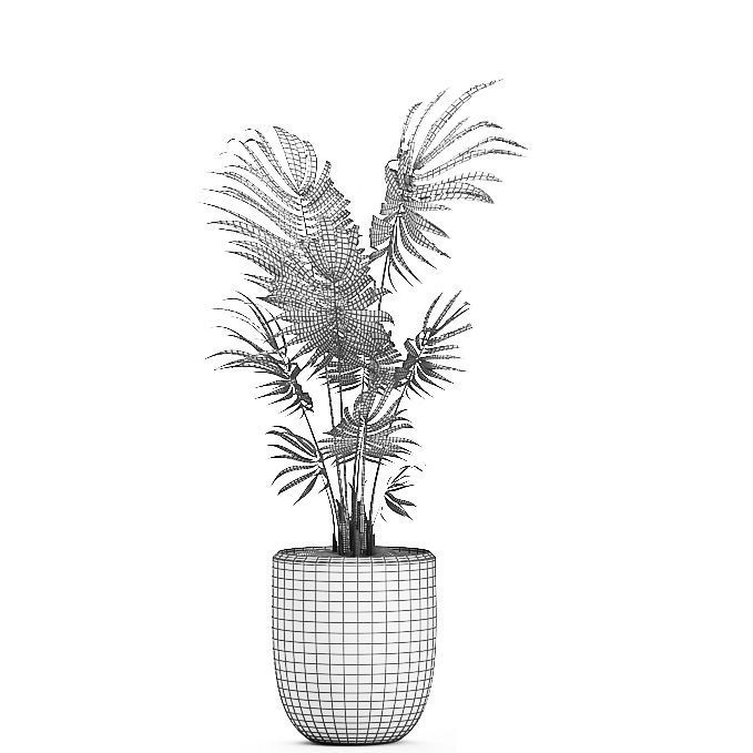 Decorative palm in a white flowerpot 519 3D model_5