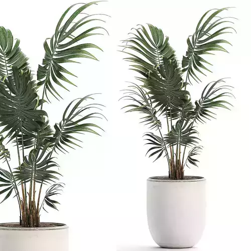 Decorative palm in a white flowerpot 519 3D model
