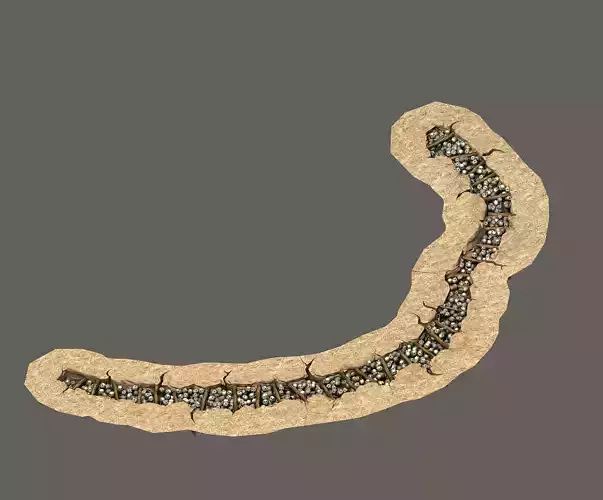 Semi - circular skeleton aisle 01