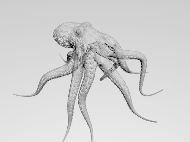 Octopus Low poly 3D model_1