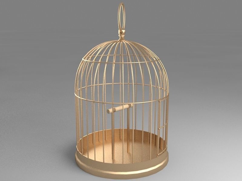 Bird Cage 3D model_3