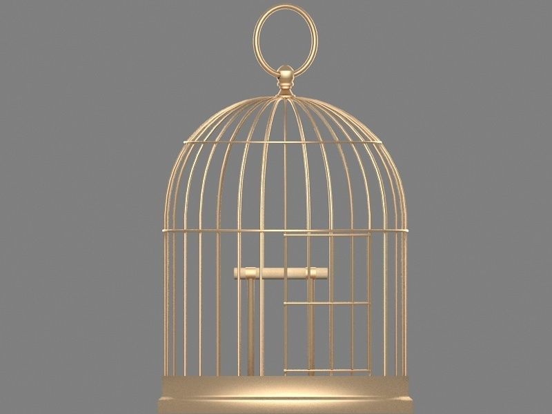 Bird Cage 3D model_1