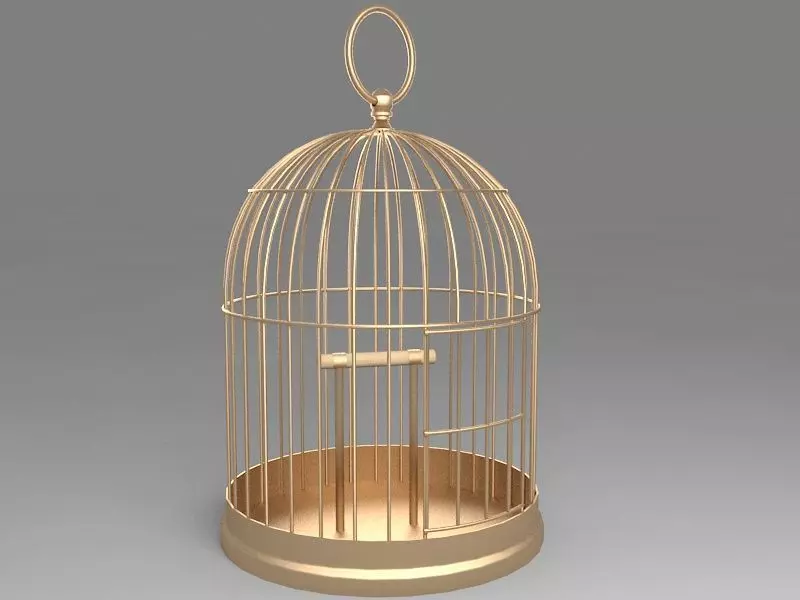 Bird Cage 3D model_0