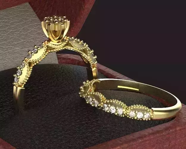 Ring and back ring Silver Gold  Print