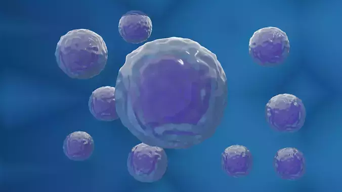 Stem cell 3d model