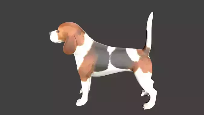 lowpoly dog beagle Low-poly 3D model