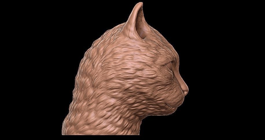 cat head 3D print model_3