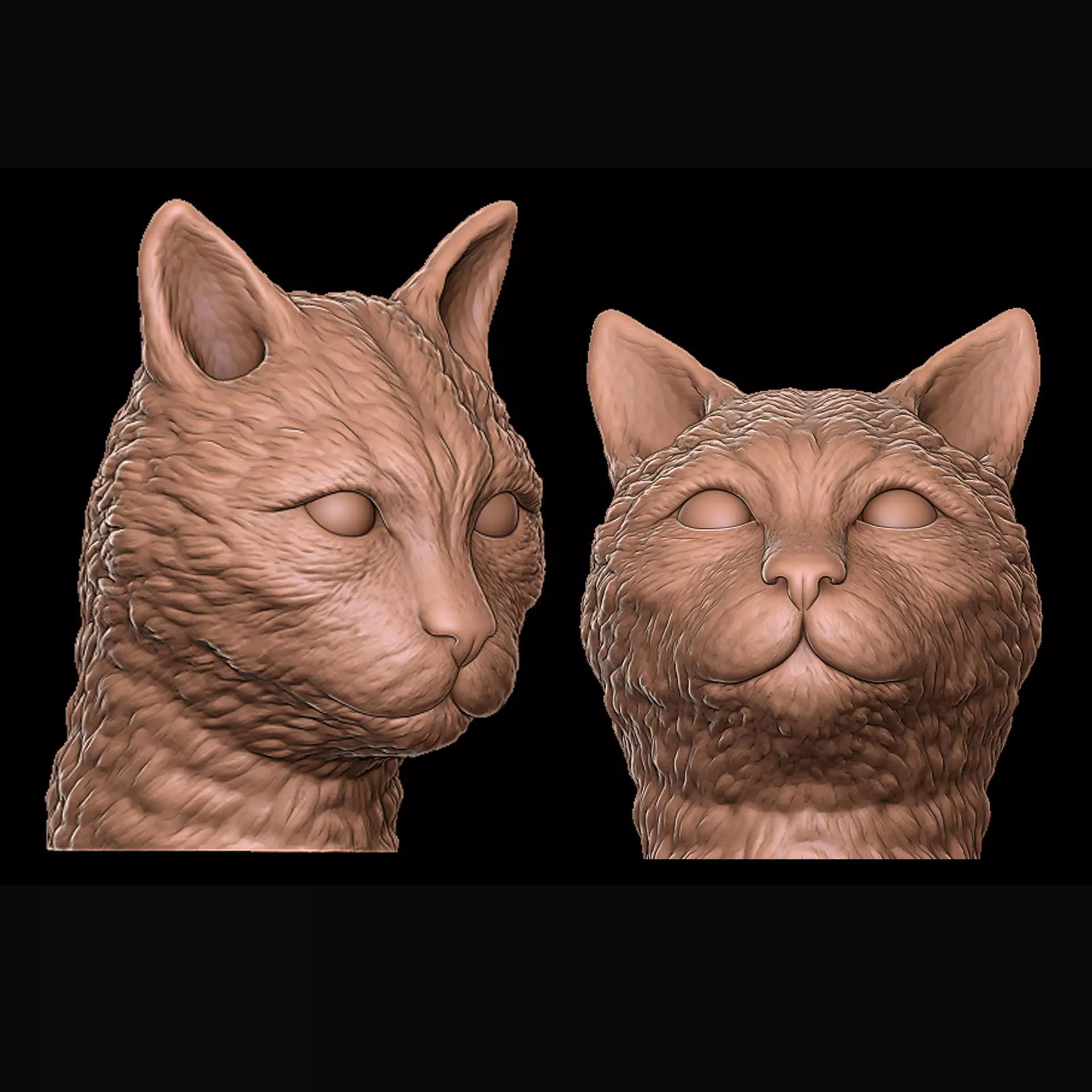 cat head 3D print model_0