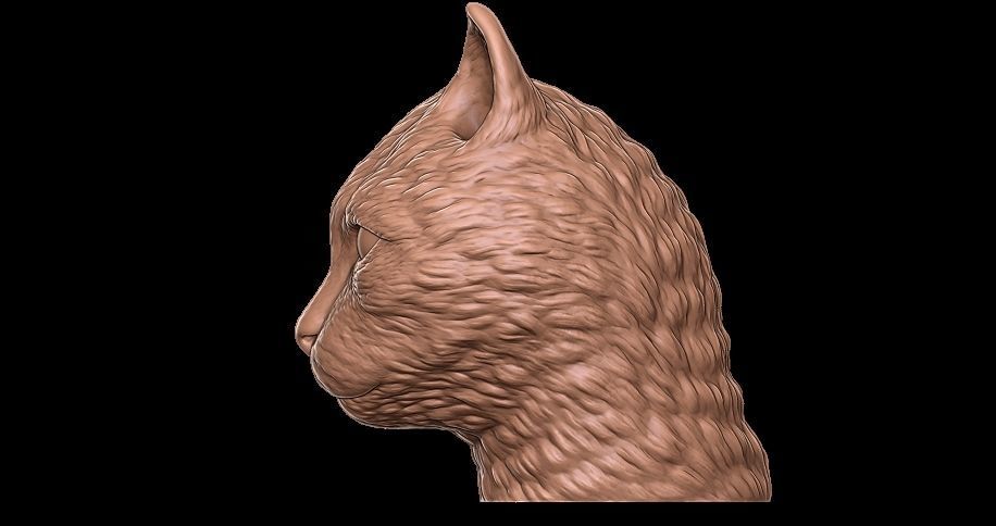 cat head 3D print model_5