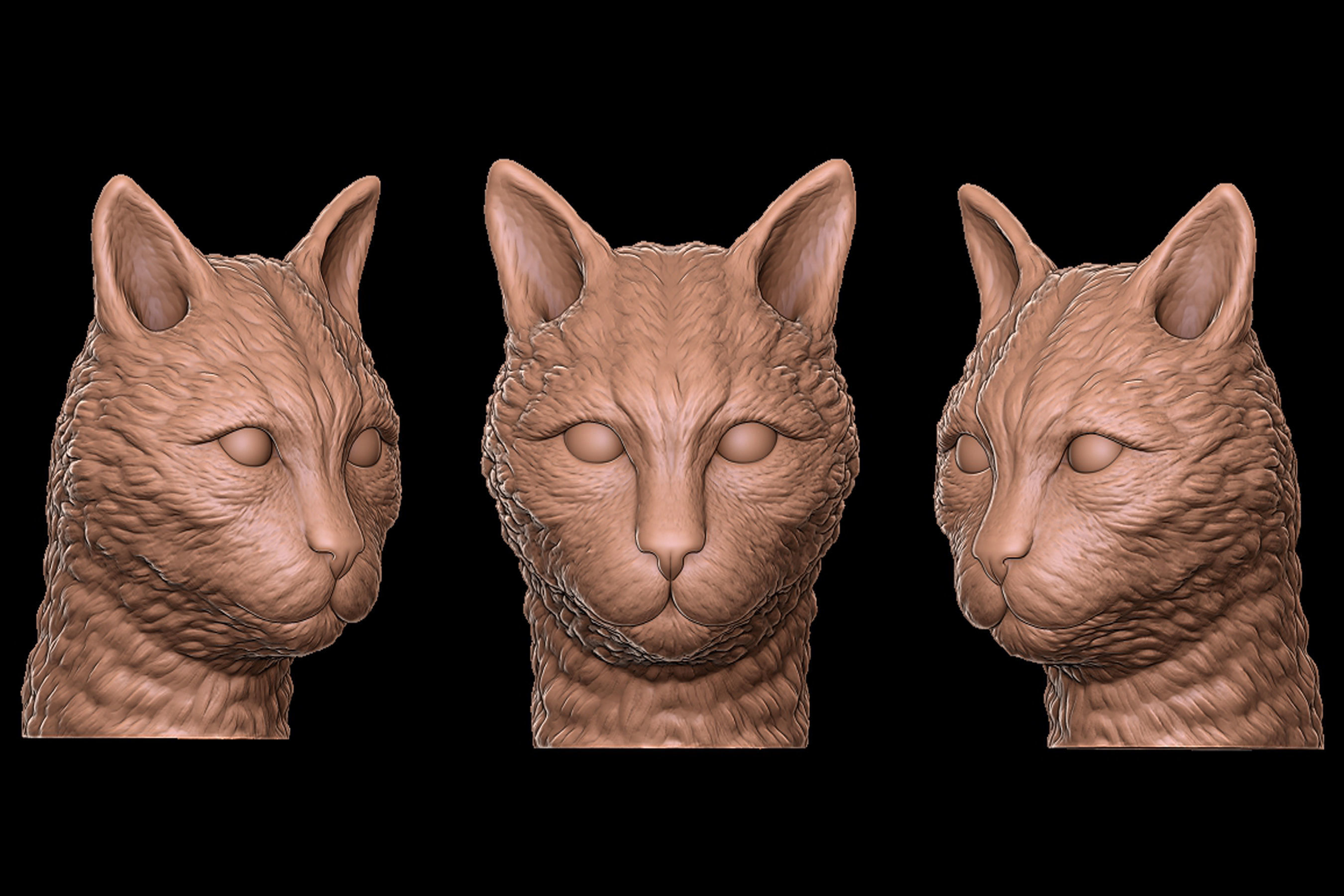 cat head 3D print model_7