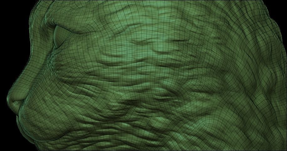 cat head 3D print model_15