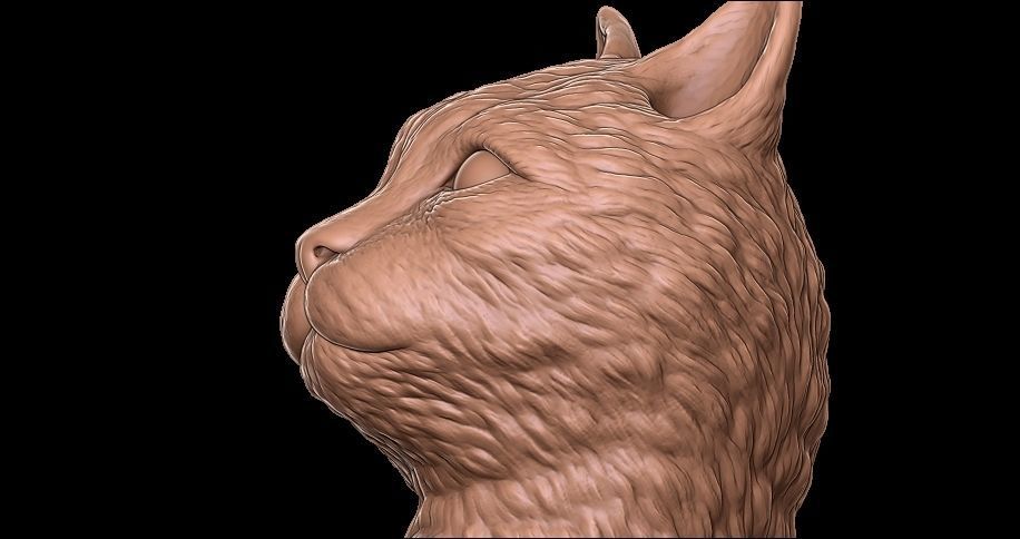 cat head 3D print model_9