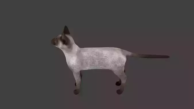 lowpoly cat siamese