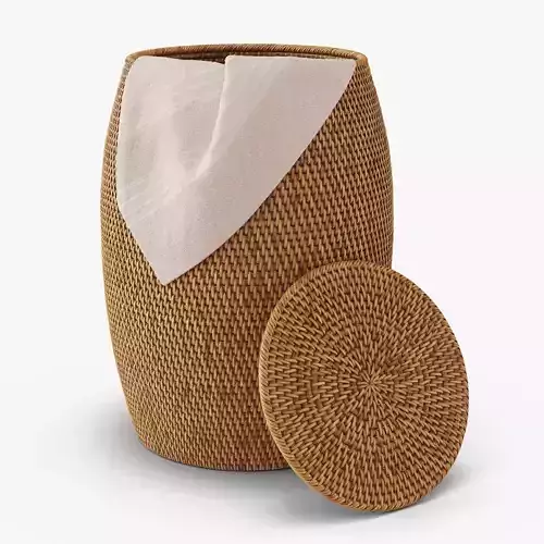 Artifacts Rattan End Table With Lid 3D model