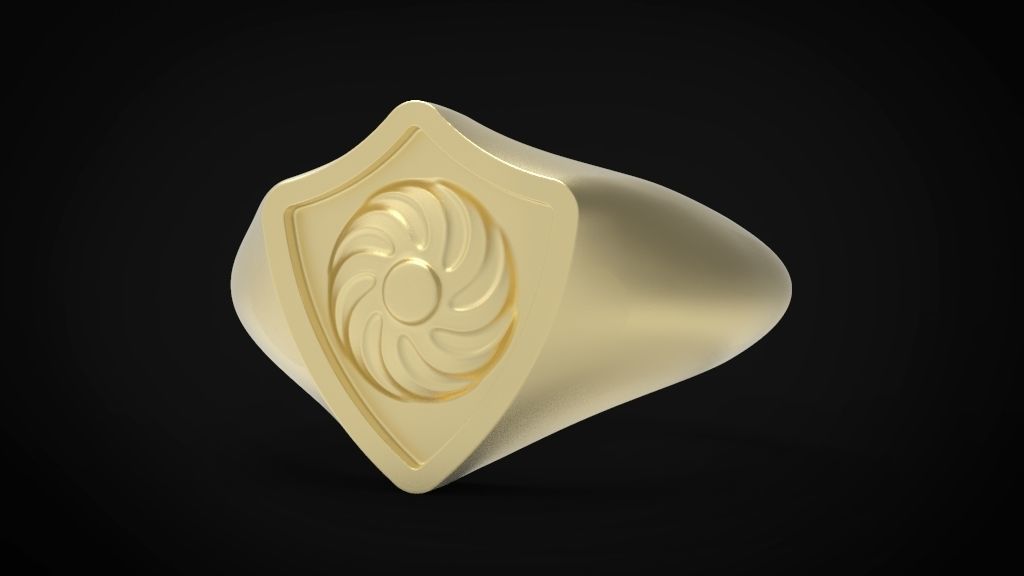 Shield signet men ring special model 3D print model_4
