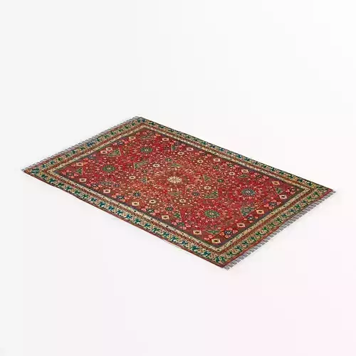 Carpet 4 oriental rug