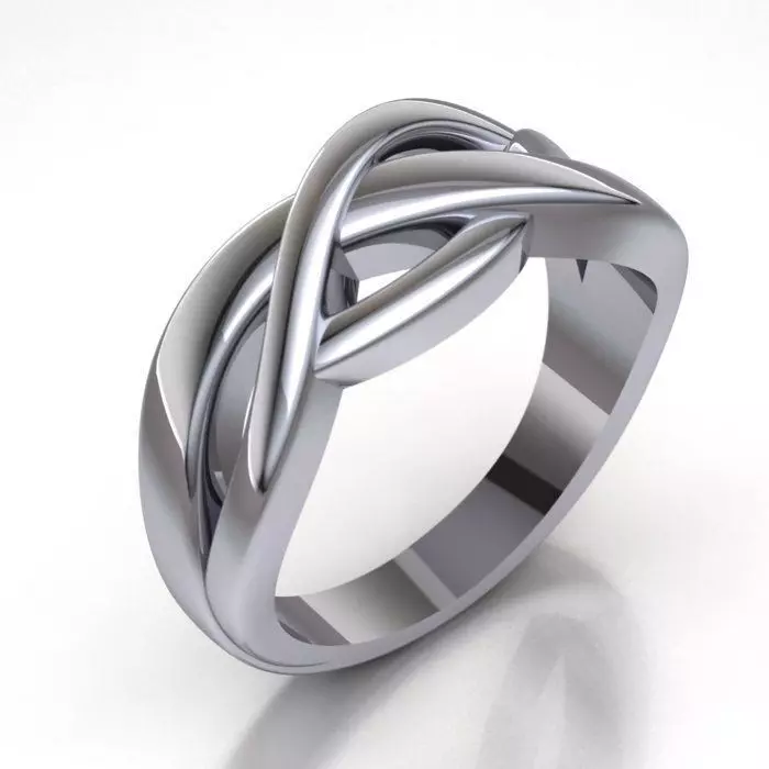RING MODEL 469 3D print model_0