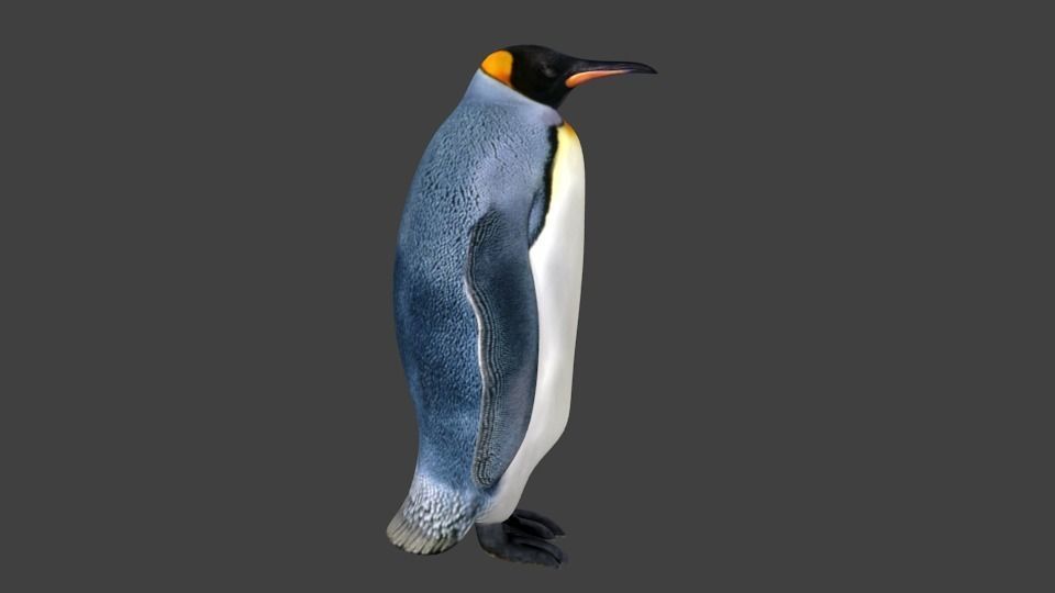 lowpoly Penguin Low-poly 3D model_2