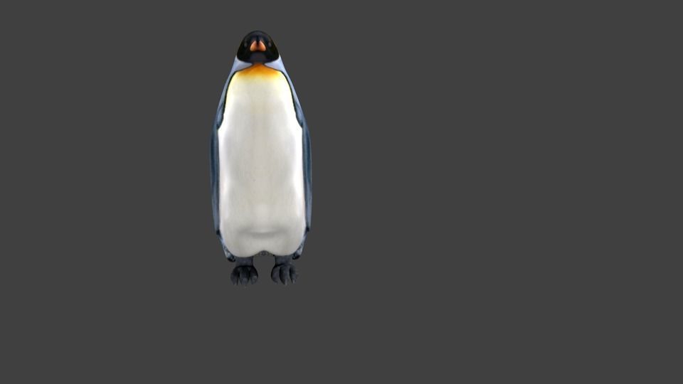 lowpoly Penguin Low-poly 3D model_1