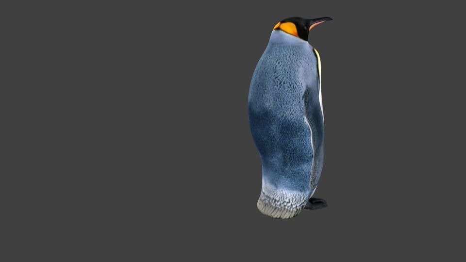 lowpoly Penguin Low-poly 3D model_7