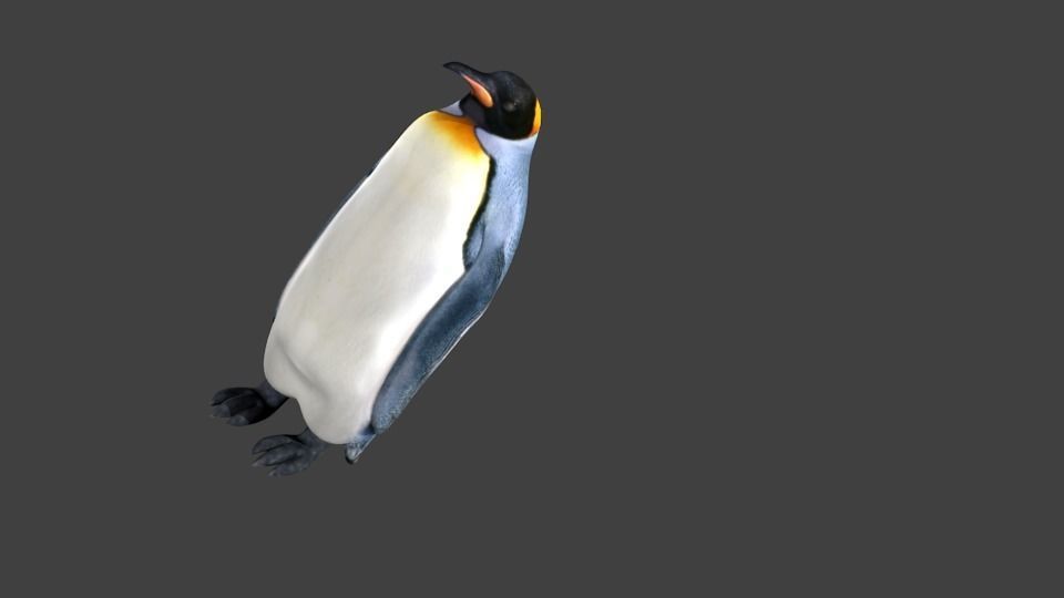 lowpoly Penguin Low-poly 3D model_6