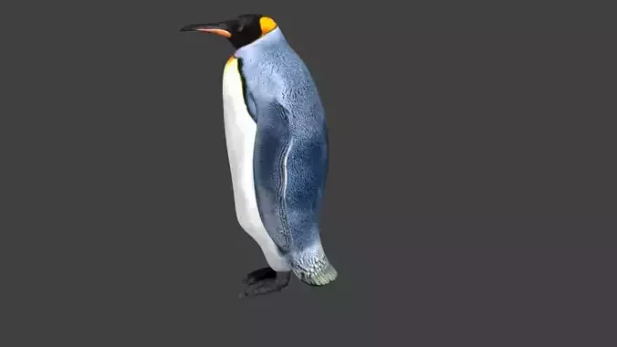 lowpoly Penguin Low-poly 3D model