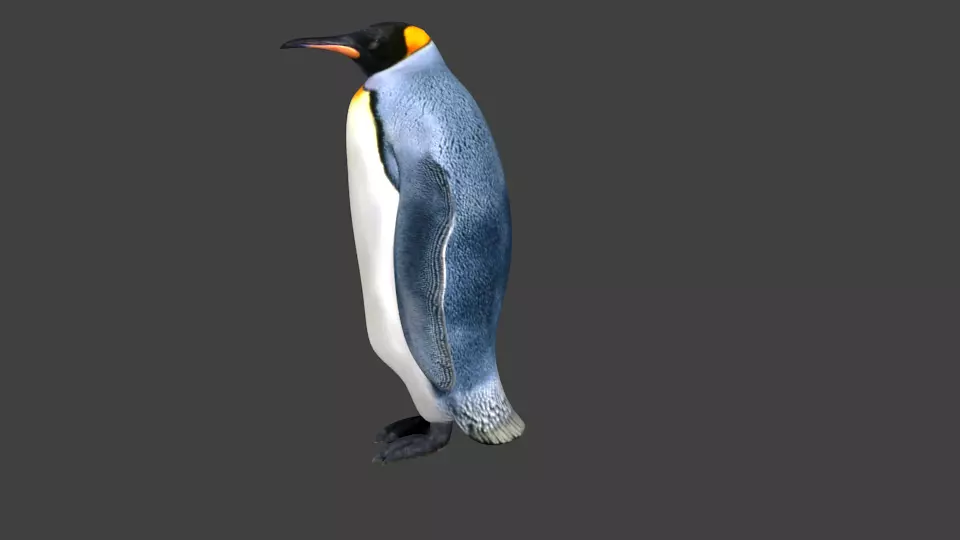 lowpoly Penguin Low-poly 3D model_0
