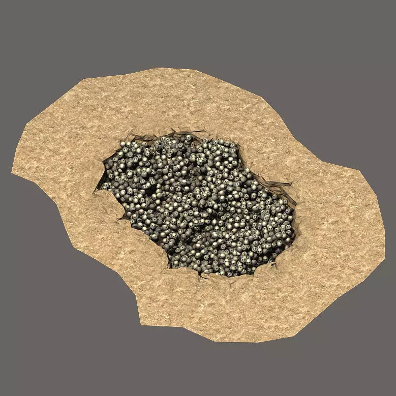 Bone pool 025 3D model_0