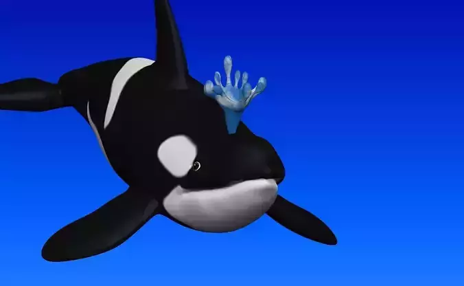 killer whale